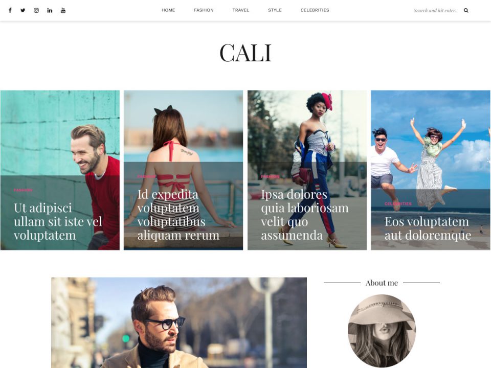 wordpress - wpth_cali_01