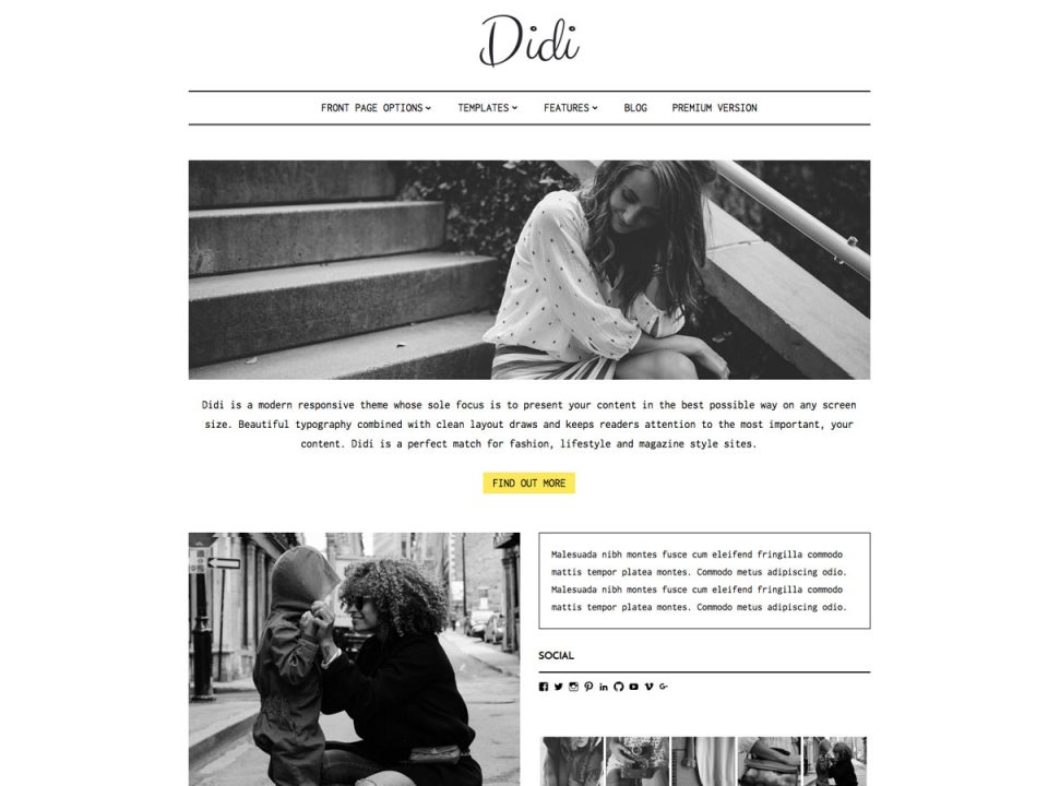 wordpress - wpth_didi_01