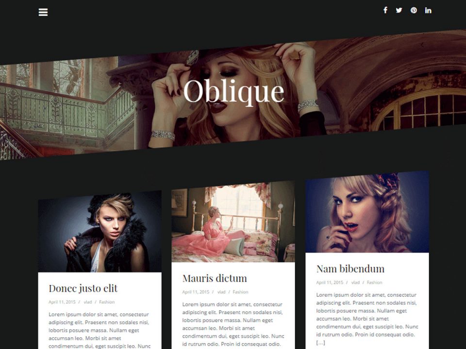 wordpress - wpth_oblique_01